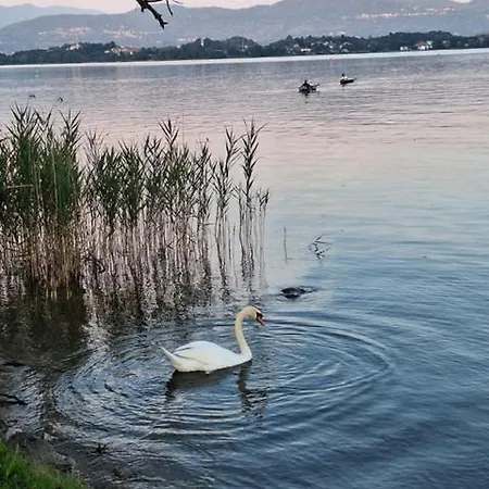 Il Campo Sul